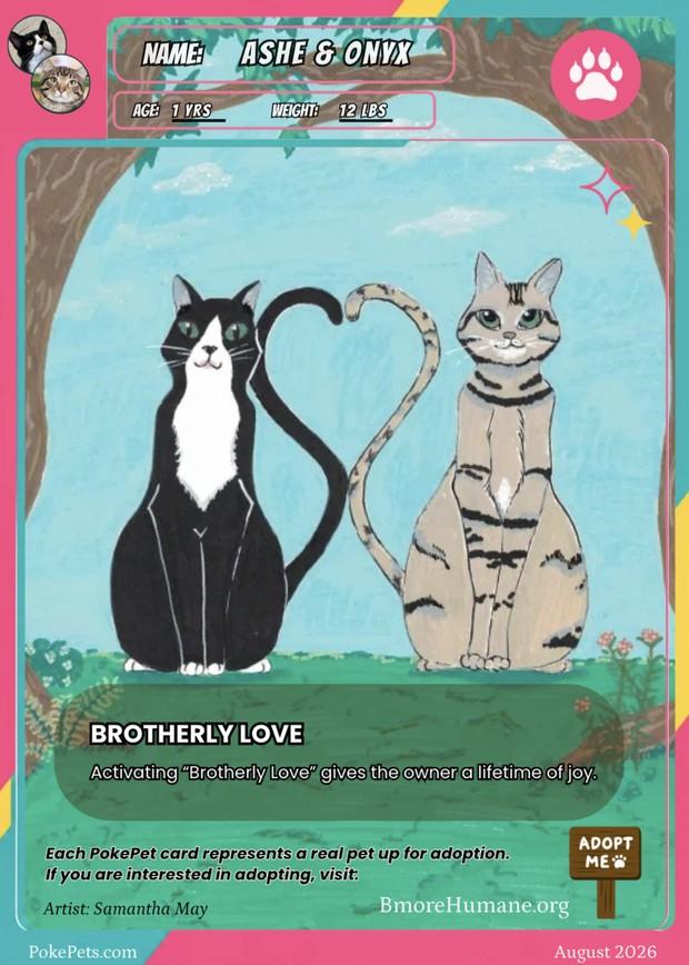 Ashe & Onyx's PokéPets card