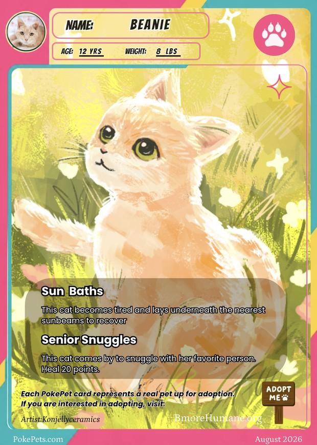 Beanie's PokéPets card