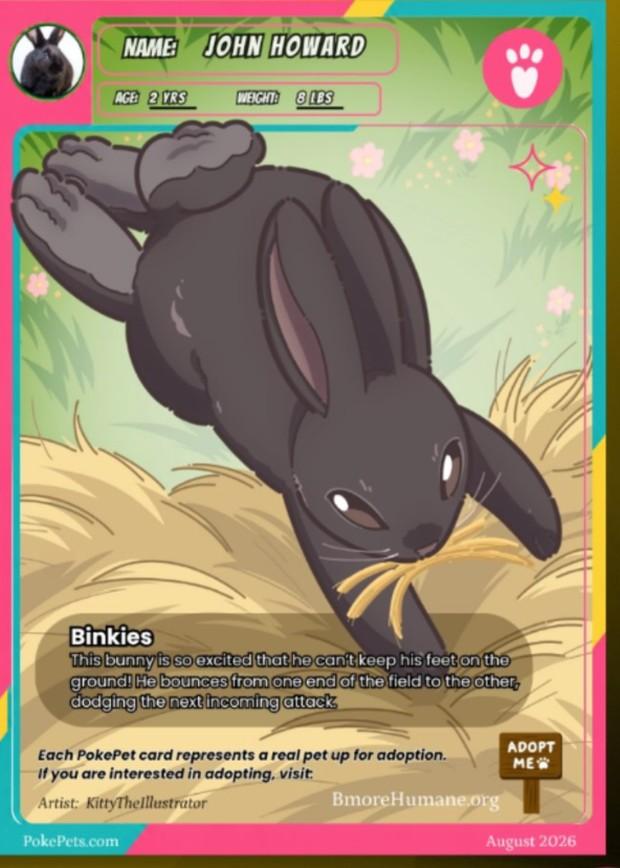 John Howard's PokéPets card