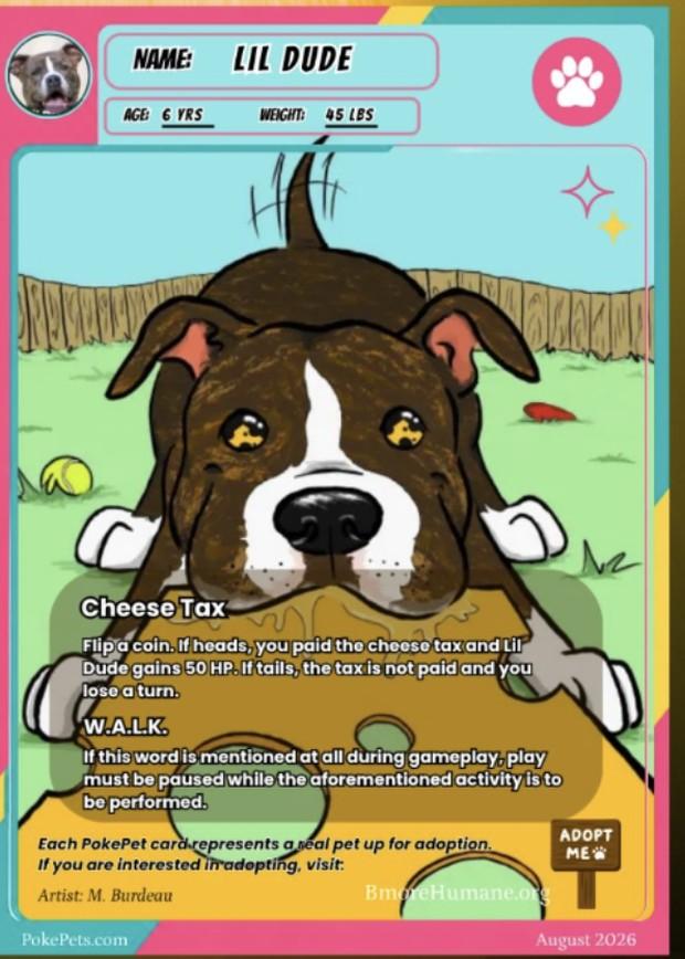 Lil Dude's PokéPets card