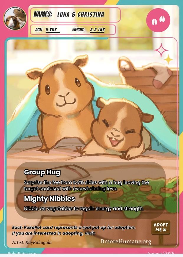 Luna & Christina's PokéPets card