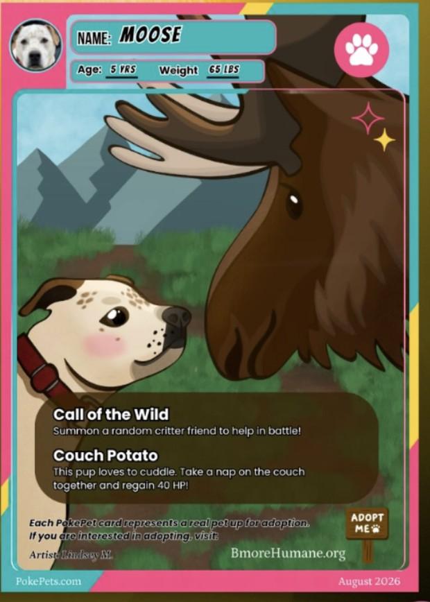 Moose's PokéPets card