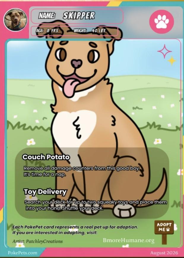 Skipper's PokéPets card