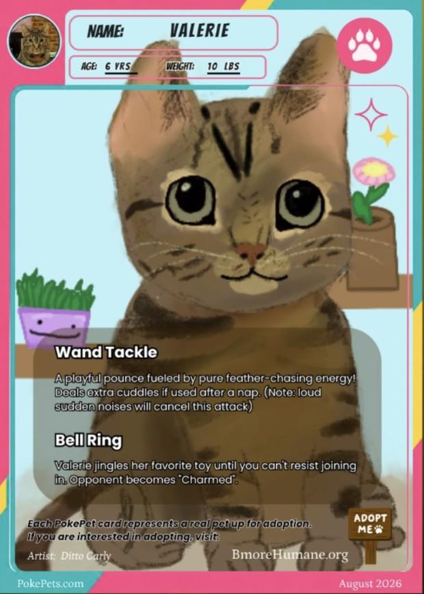 Valerie's PokéPets card
